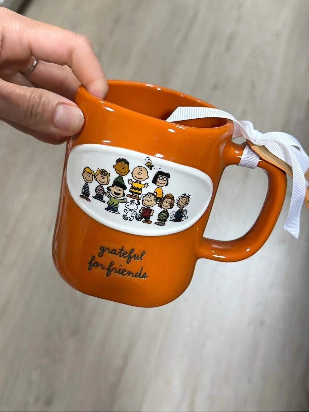 Orange Peanuts Friends Mug